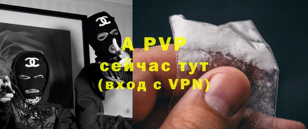 ГАЛЛЮЦИНОГЕННЫЕ ГРИБЫ Белоозёрский