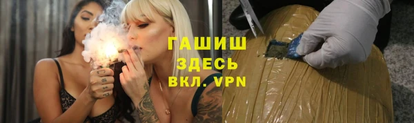 индика Няндома