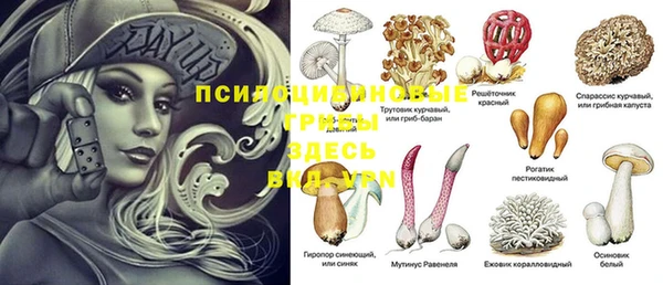 каннабис Белокуриха